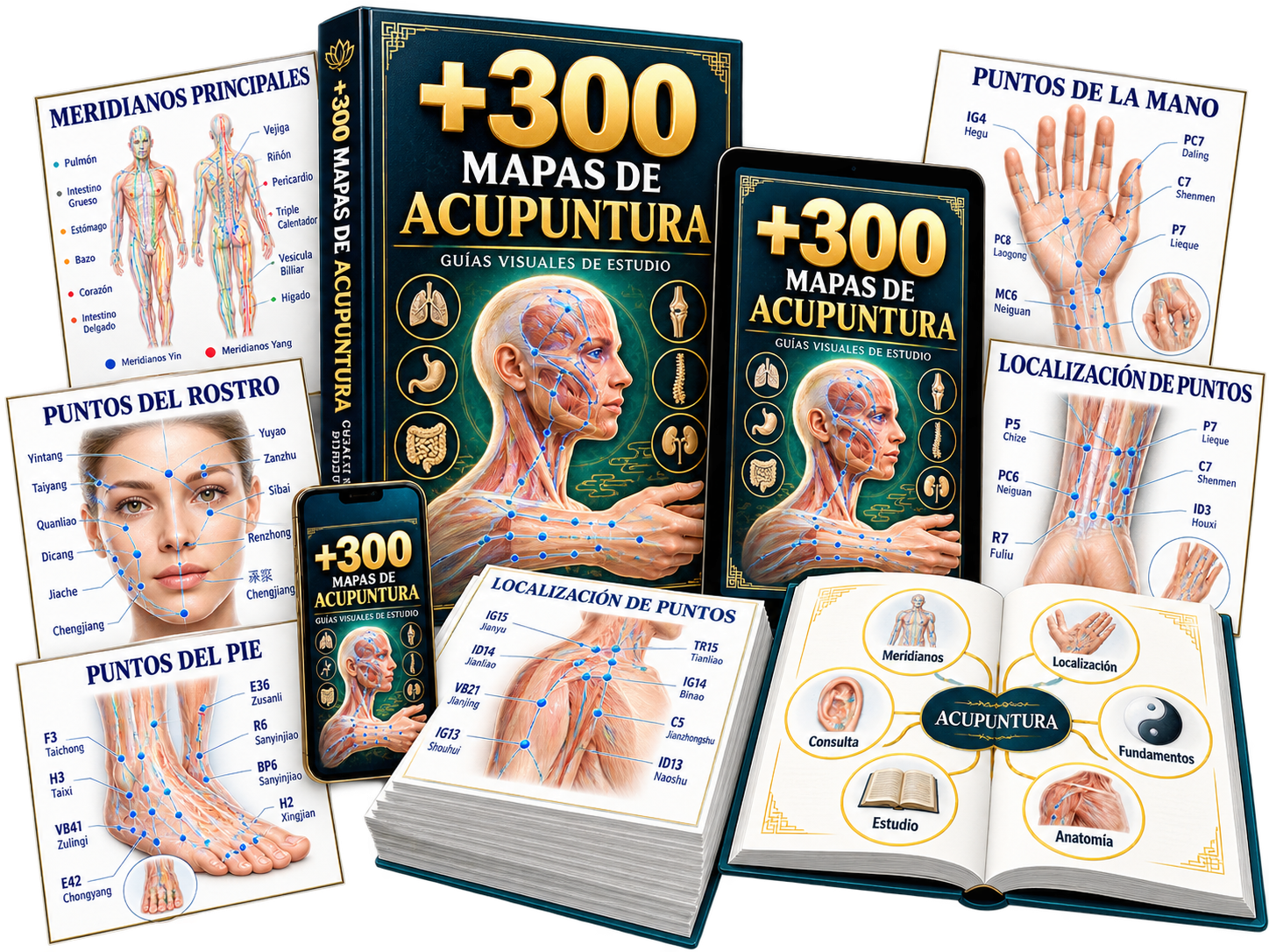 Portada +300 Mapas Mentales de Acupuntura