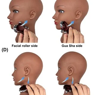 Aprender todo, aunque empieces desde cero